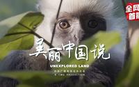 《美丽中国说》之《独山王者（白头叶猴）》[4K HDR]