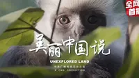 《美丽中国说》之《独山王者（白头叶猴）》[4K HDR]