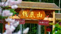 宁德钱来山风景区门票特价票优惠票团购游玩攻略免票政策营业时间宁德旅游