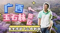 广西玉石林景区，乘坐滑道下山真刺激