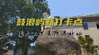百年艺校福大工艺美院老校区对游客开放，即将成为厦门鼓浪屿新文艺青年打卡点