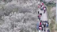 【冬季游黔南】中国·荔波第二十届梅花节盛大开幕