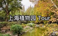 Vlog 云逛上海植物园 热带植物温室