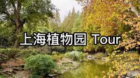 Vlog 云逛上海植物园 热带植物温室