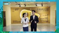 【2023】安阳博物馆| 新时代殷墟考古新发现成果展（河南·安阳）【云游直播回放】-溜达搬运