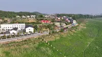 航拍岳阳飘尾