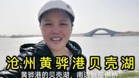 沧州黄骅港贝壳湖，位于渤海新区，湖内小岛上有游船码头成群海鸥。