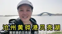 沧州黄骅港贝壳湖，位于渤海新区，湖内小岛上有游船码头成群海鸥。
