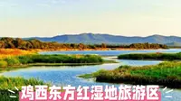 北国秘境：鸡西东方红湿地旅游区全攻略
