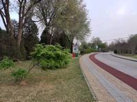 美丽的保定植物园