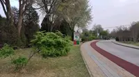 美丽的保定植物园