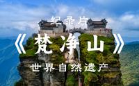 【纪录片】《梵净山》，央视首次4K超高清拍摄世界自然遗产梵净山