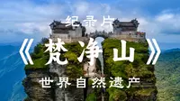 【纪录片】《梵净山》，央视首次4K超高清拍摄世界自然遗产梵净山