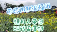 【带您寒假游福州6】寒假玩转梁厝特色历史文化街区攻略：第一次听到真正的鹅叫！