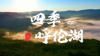 四季呼伦湖