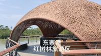 东寨港红树林旅游区
