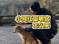 怎么去抗癌小伙生活的圆明宫