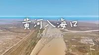 来到东营黄河入海口看鸳鸯锅，花169出海到底能看到啥？