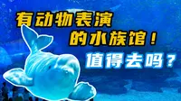 有动物表演的水族馆值得去吗？郑州海昌海洋公园之行！
