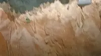 中国地质博物馆讲解矿石厅（）