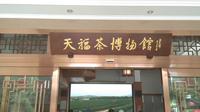 漳浦天福茶博物馆游记上集