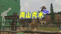 山东潍坊昌邑-青山秀水游记