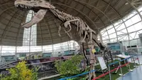 游山东诸城恐龙国家地质公园博物馆群
