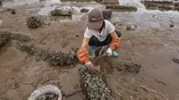 退潮后的唐家湾沙滩，成为珠海热门的赶海地点
