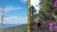 大羊场-罗古箐24km徒步+吃住玩全攻略分享