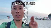 户外赶海抓海鲜 红树林 北海赶海攻略 旅游避坑指南 北海红树林赶海
