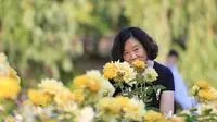 大连英歌石植物园家庭聚会随手拍（2022.6.19）