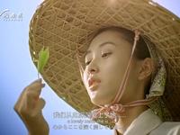 12-6-梅州市雁南飞茶田景区