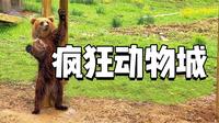 杭州第12站！自驾野生动物园一日游