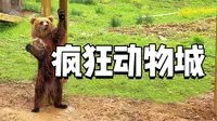 杭州第12站！自驾野生动物园一日游