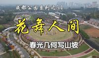 成都公园系列之54——花舞人间  春光几何