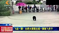 飞起一脚，合肥野生动物园一只大猩猩出逃，一脚踹飞男子