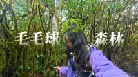 云南腾冲高黎贡山徒步｜发现一片穿绿毛衣的森林 徒步+荒野烤肉+天然温泉 有趣又治愈