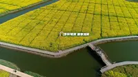 多彩垎岸