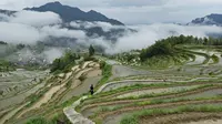 丽水云和梯田漫步4k