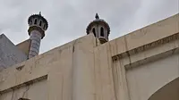 2025-08-12 福乐智慧园后院