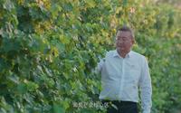 你所不知道的宁夏农垦