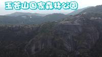 浙江温州苍南·玉苍山国家森林公园