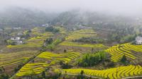 凤堰古梯田游记