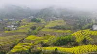 凤堰古梯田游记