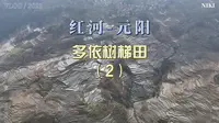 红河元阳多依树梯田（2）