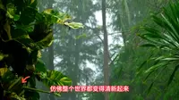 昆明九乡风景区：探秘地下奇观，领略彝族风情！