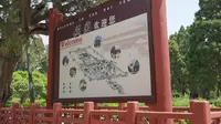 岱庙文化直播