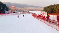 国际大赛标准设计，白清寨滑雪场，同样是沈阳体育学院的校区