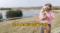 荣成天鹅湖国家公园