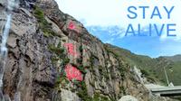 青海湟源大黑沟——《Stay Alive》在这里感受“活着”